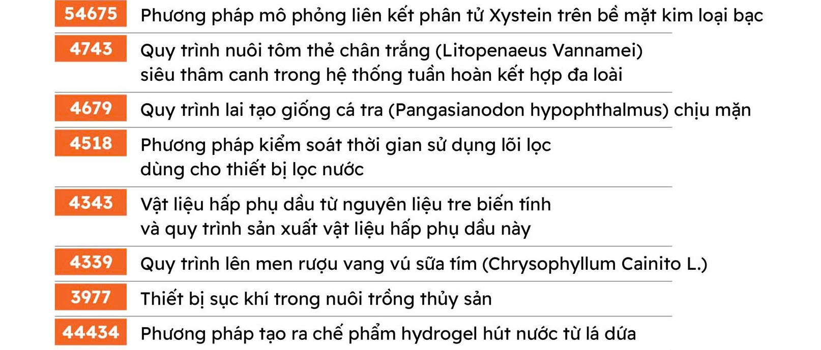 Vinaora Nivo Slider 3.x